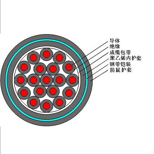 FS-KVVP2（防鼠、防白蟻型屏蔽控制電纜）