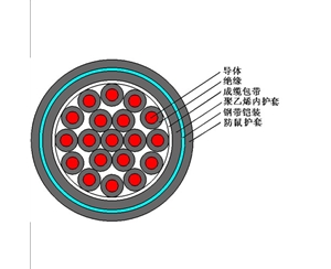 FS-KVVP2（防鼠、防白蟻型屏蔽控制電纜）